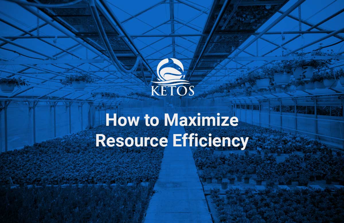 vertical farming water quality_controlled agriculture