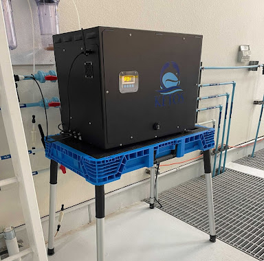 Water Quality at Beverage Companies Case Study